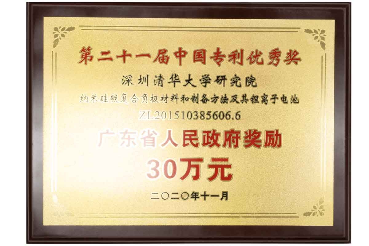 廣東省人民政府獎勵30萬元